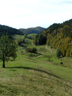 Le Jura - combe des closettes