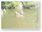 IMG_20170808_153009